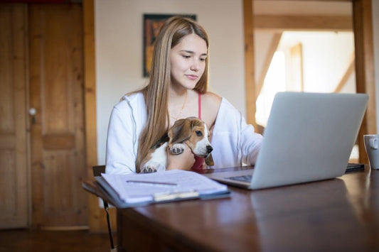 Thriving as a Digital Nomad with a Pet: Essential Tips for Success