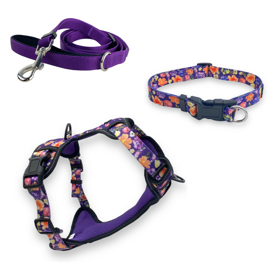 a photo of a no choke dog collar, a no escape dog harness and leash bundle in purple colors from fearless pet