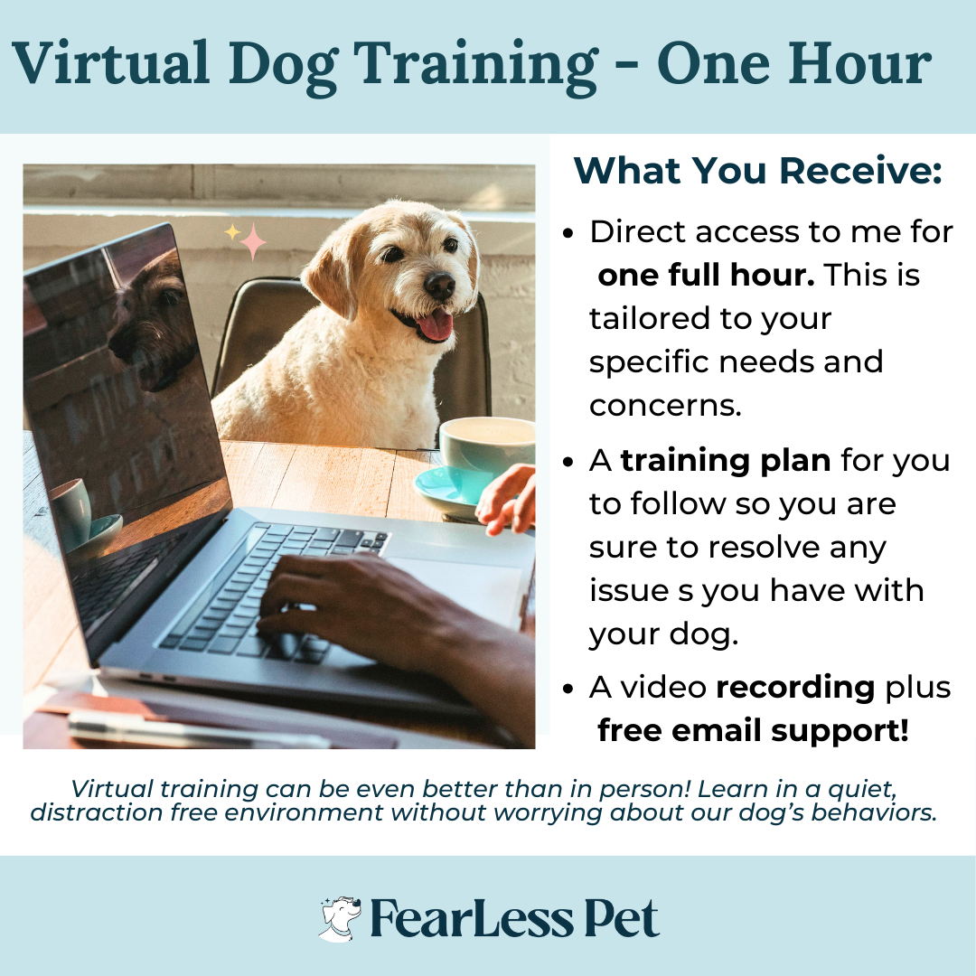 a template of a dog sitting while a person types on a computer to represent virtual dog training by fearless pet