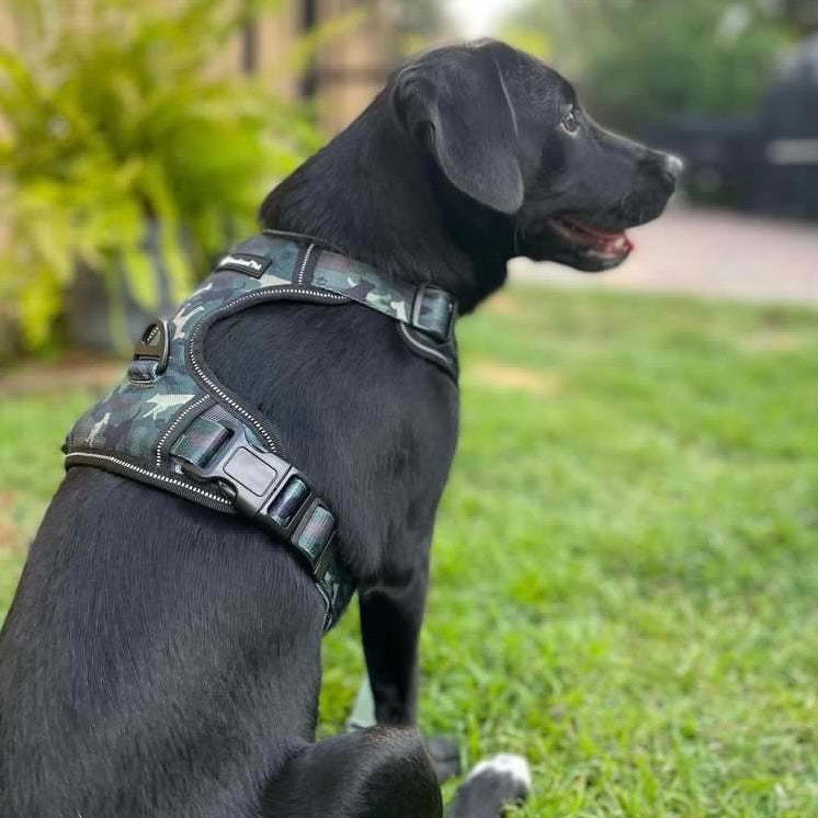 a photo of a black dog wearing a green camouflage dog harness by fearless pet