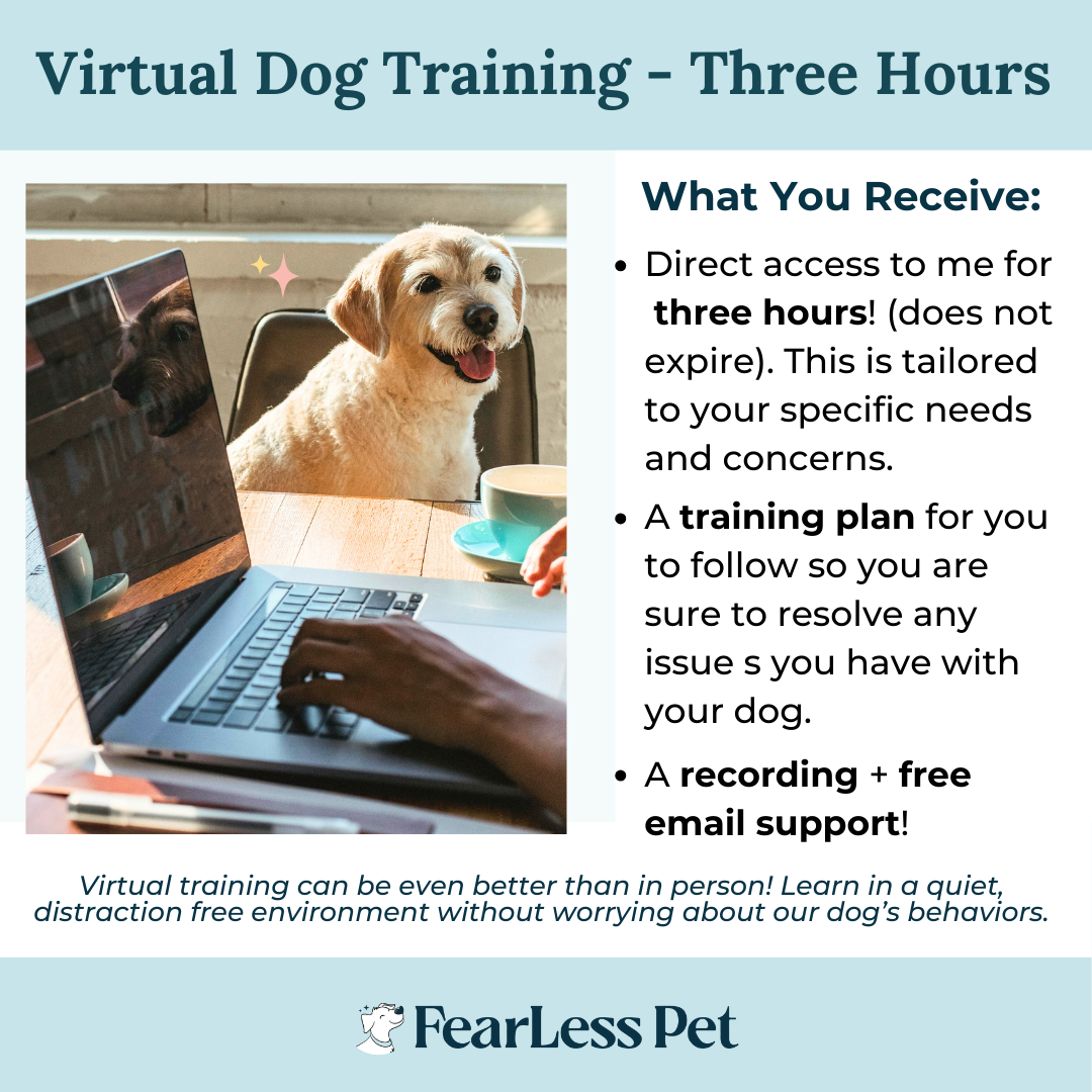 a photo template for virtual dog training a three hour package and it includes three hours of virtual dog training plus email support and a training plan
