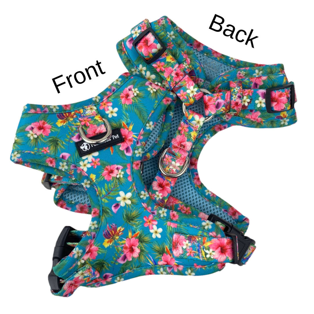 a front and back view of a neoprene teal blue floral dog harness on a white background the harness has a clip on front for no pull and adjusters at the neck for no escape dog harness