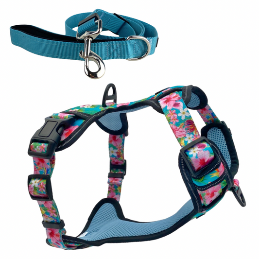 a photo of a heavy duty no escape dog harness in a bright pink floral patters and a teal blue adjustable leash rolled up to represent a harness and leash set