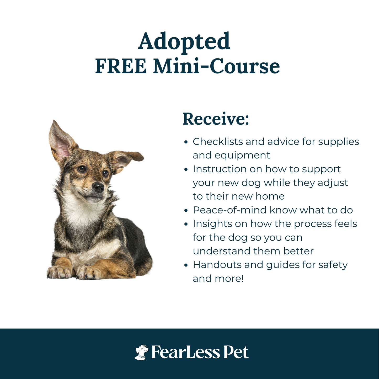 a list of things offered in a free adopted dog program from fearless pet
