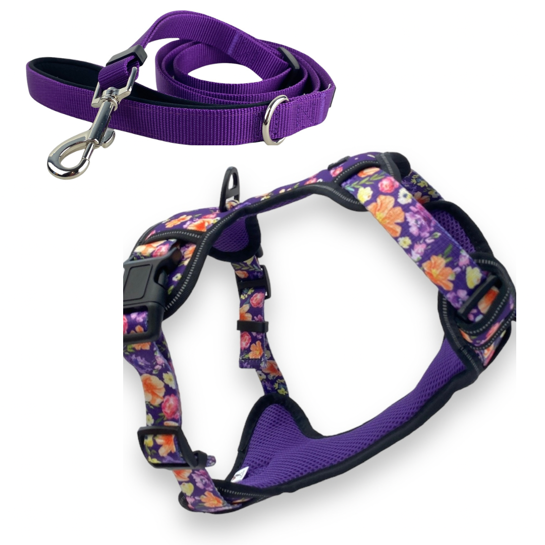 a photo of a no pull purple floral dog harness and matching solid purple adjustable leash by fearless pet