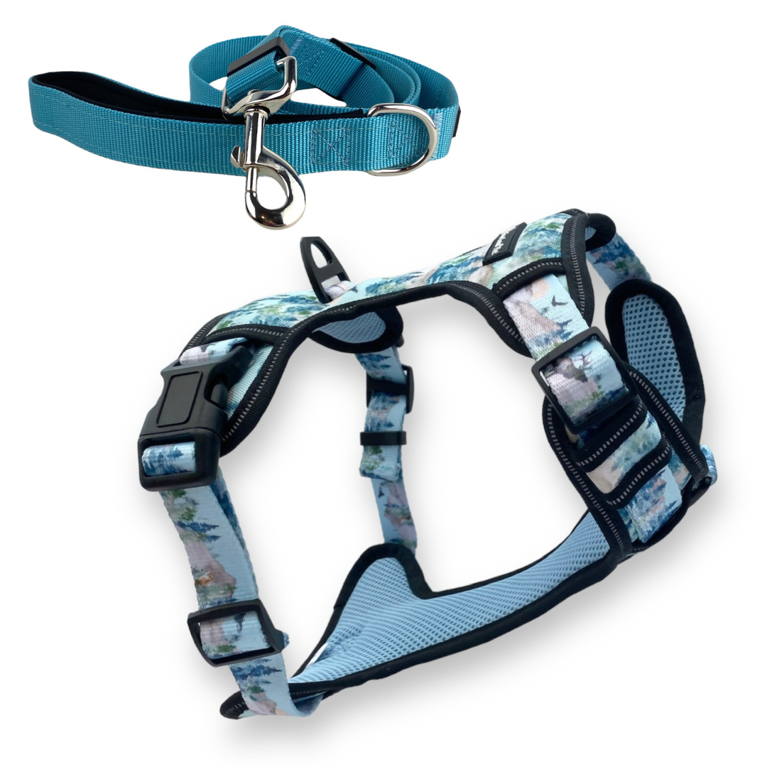 a photograph of a blue leash and coordinating forest dog harness set from fearless pet