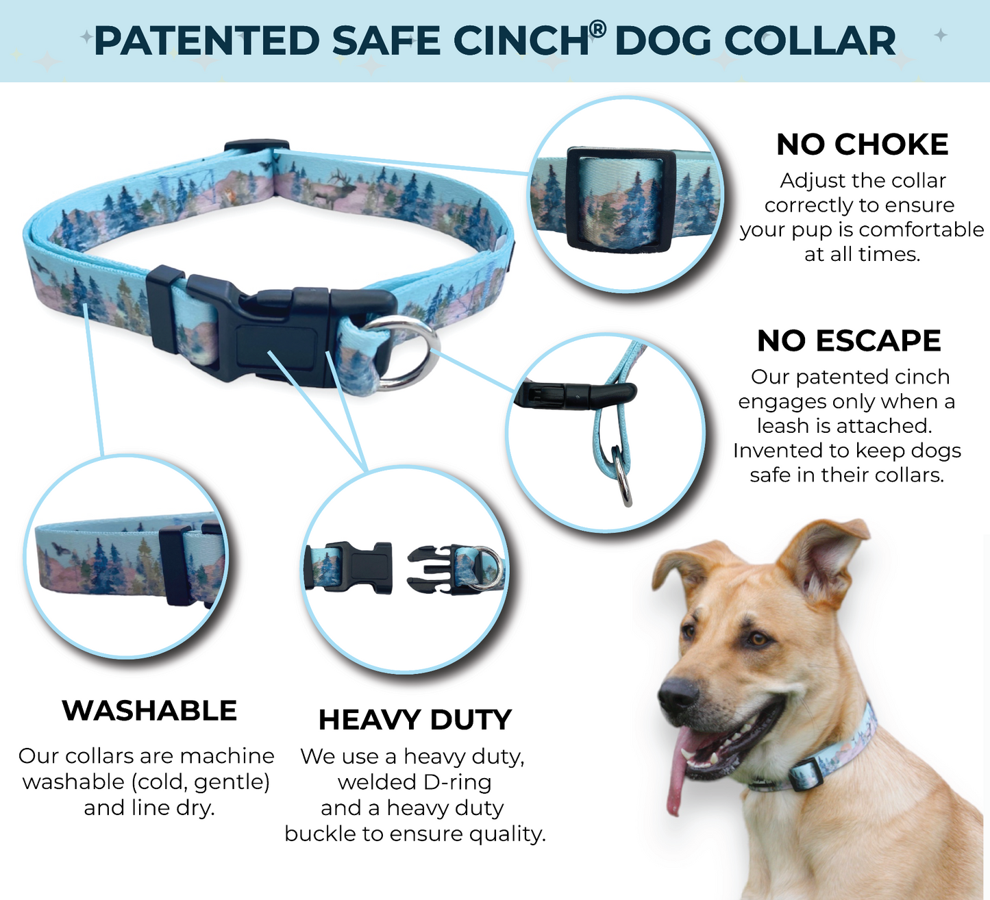 an infographic of a safe cinch no escape dog collar by fearless pet in a watercolor forest print dog collar