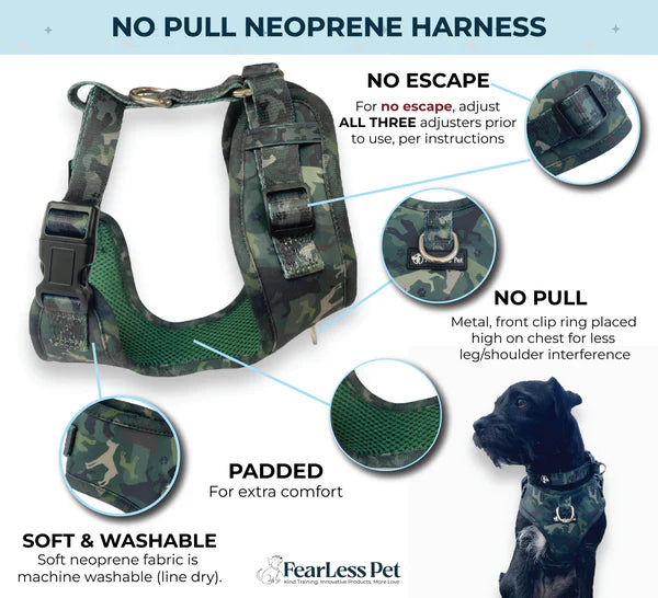 Neoprene Harness + FREE Collar Bundle