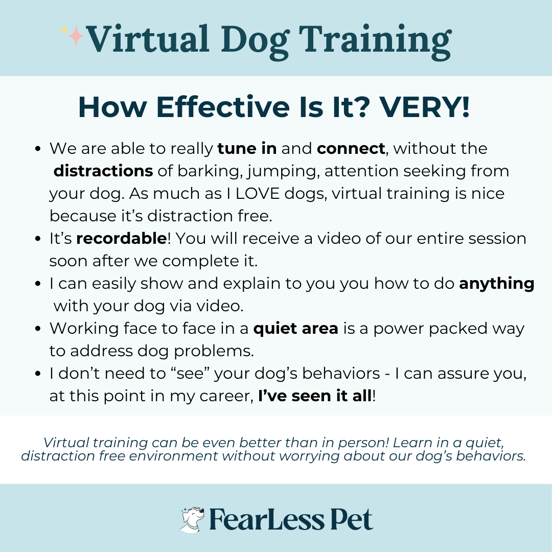 a q and a about virtual dog training describing how effective it is