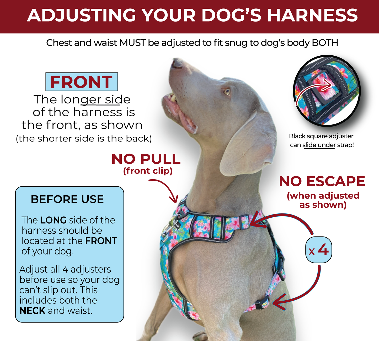 an infographic from fearless pet showing how to adjust their no escape dog harness