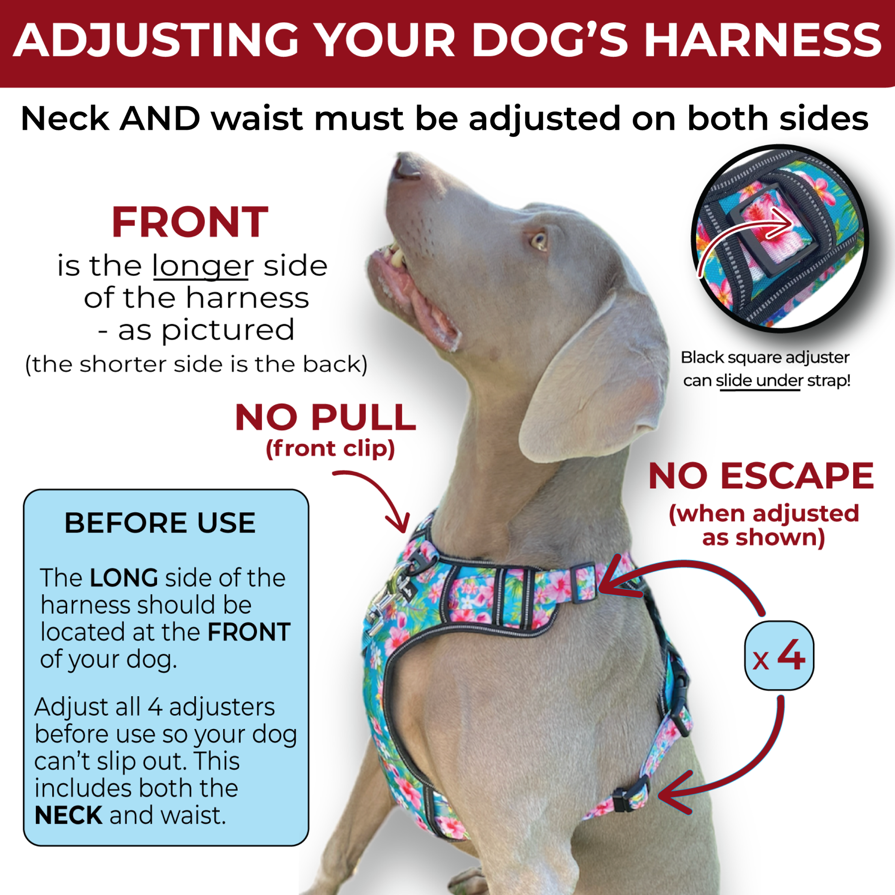 an infographic for adjusting a fearless pet harness heavy duty harness adjustment by fearless pet