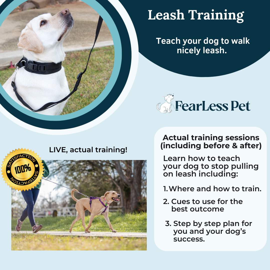 an infographic from fearless pet for an online leash training program