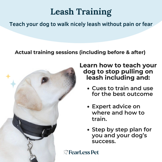 an infographic for a course on how to teach your dog to stop pulling on leash from fearless pet