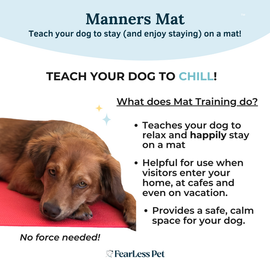 an infographic for an online dog training course on how to teach your dog to relax on a bed or mat