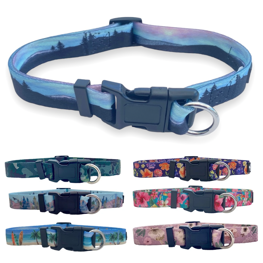 a photo of a northern lights dog collar and six other styles below it from fearless pet