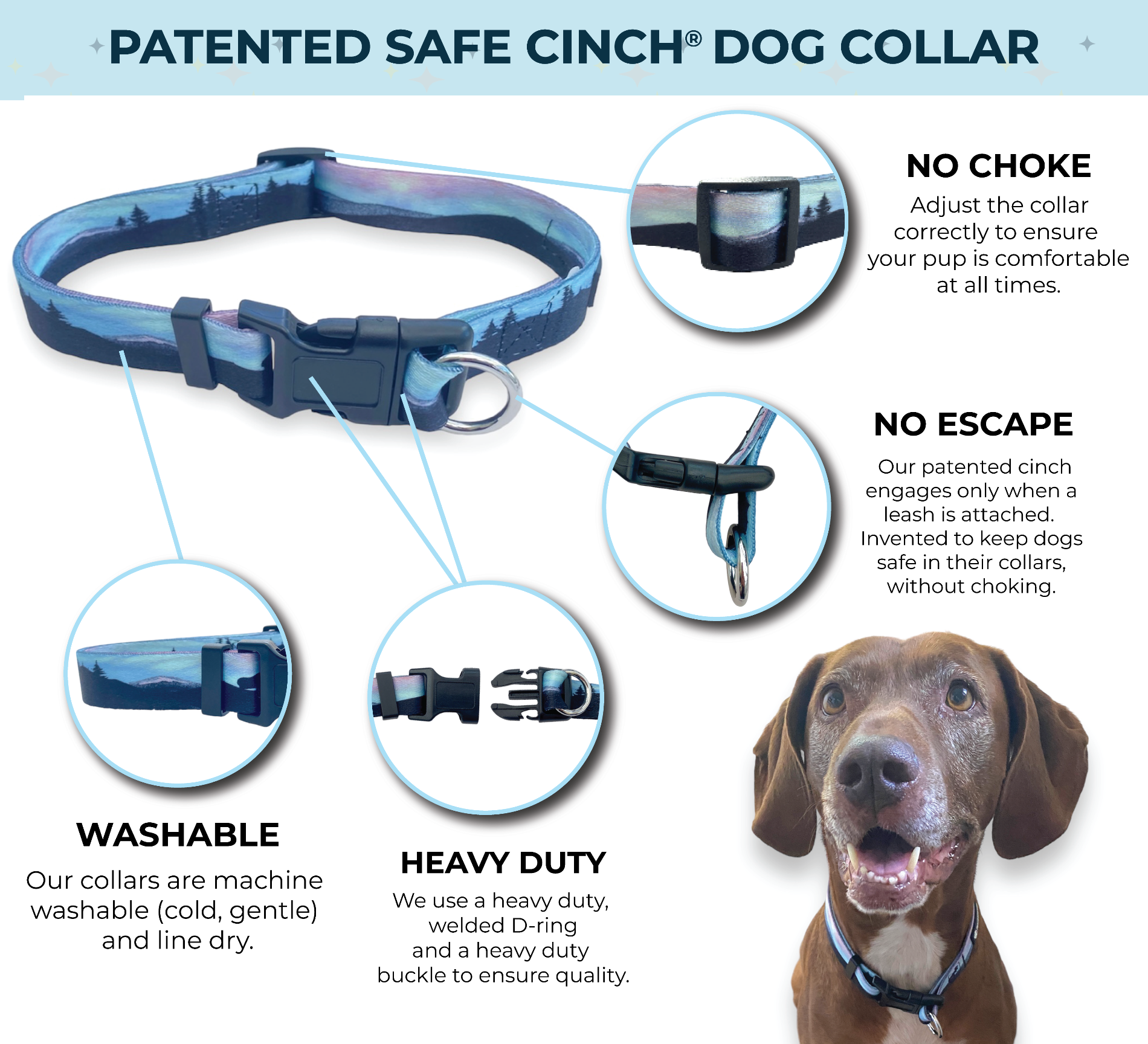 an infographic for a safe cinch northern lights dog collar by fearless pet