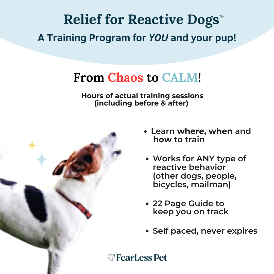 Dog reactivity training hot sale