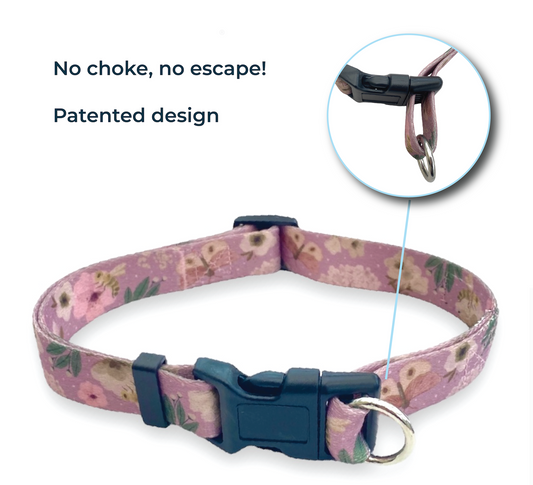 Safe Cinch Collar - Bees