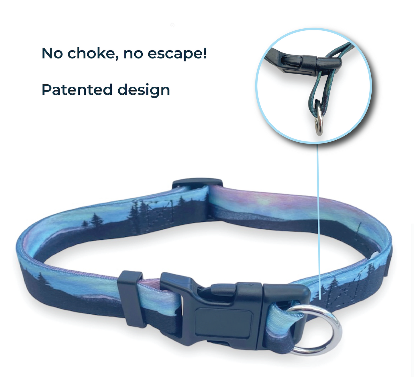 Safe Cinch Collar - Northern Lights
