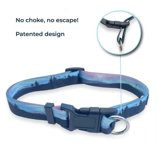 Safe Cinch Collar - Northern Lights