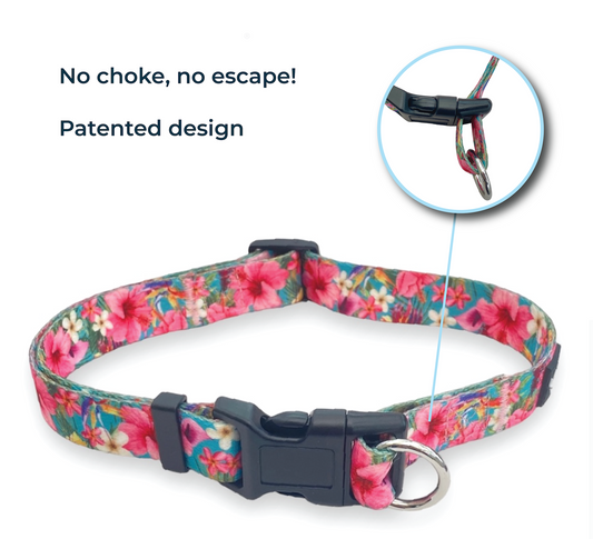 Safe Cinch Collar - Hawaiian