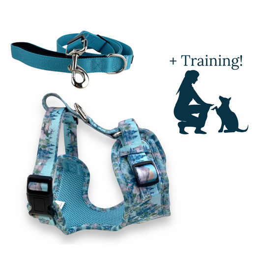 An infographic representing a reactive dog training bundle with a escape proof dog harness, an adjustable leash and reactive dog training program