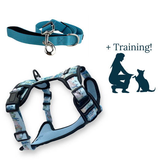 a photo representing a reactive dog training bundle that includes a reactive dog harness a teal blue leash and a reactive dog training program from fearless pet