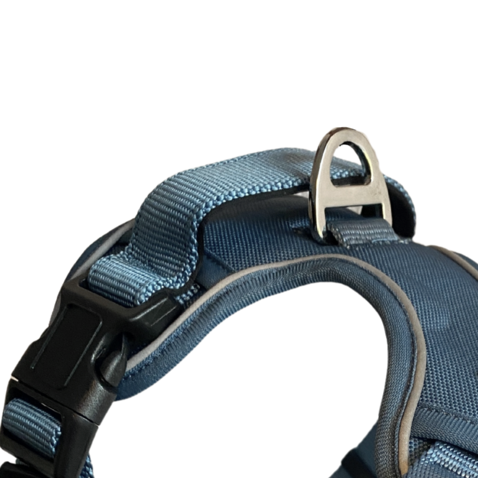 a close up image of the handle and back clip on a walk star dog harness by fearless pet in blue