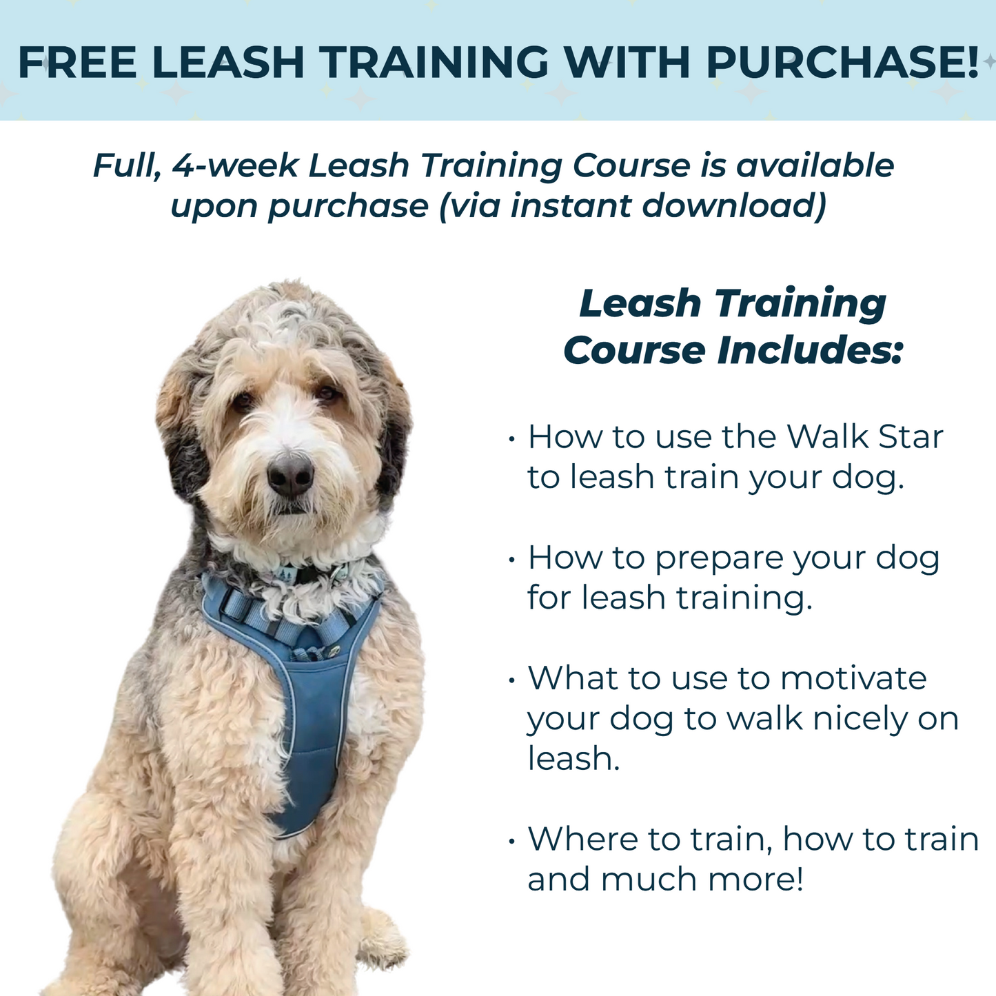 an infographic for the walk star dog training harness that includes a free leash training course for dogs from fearless pet