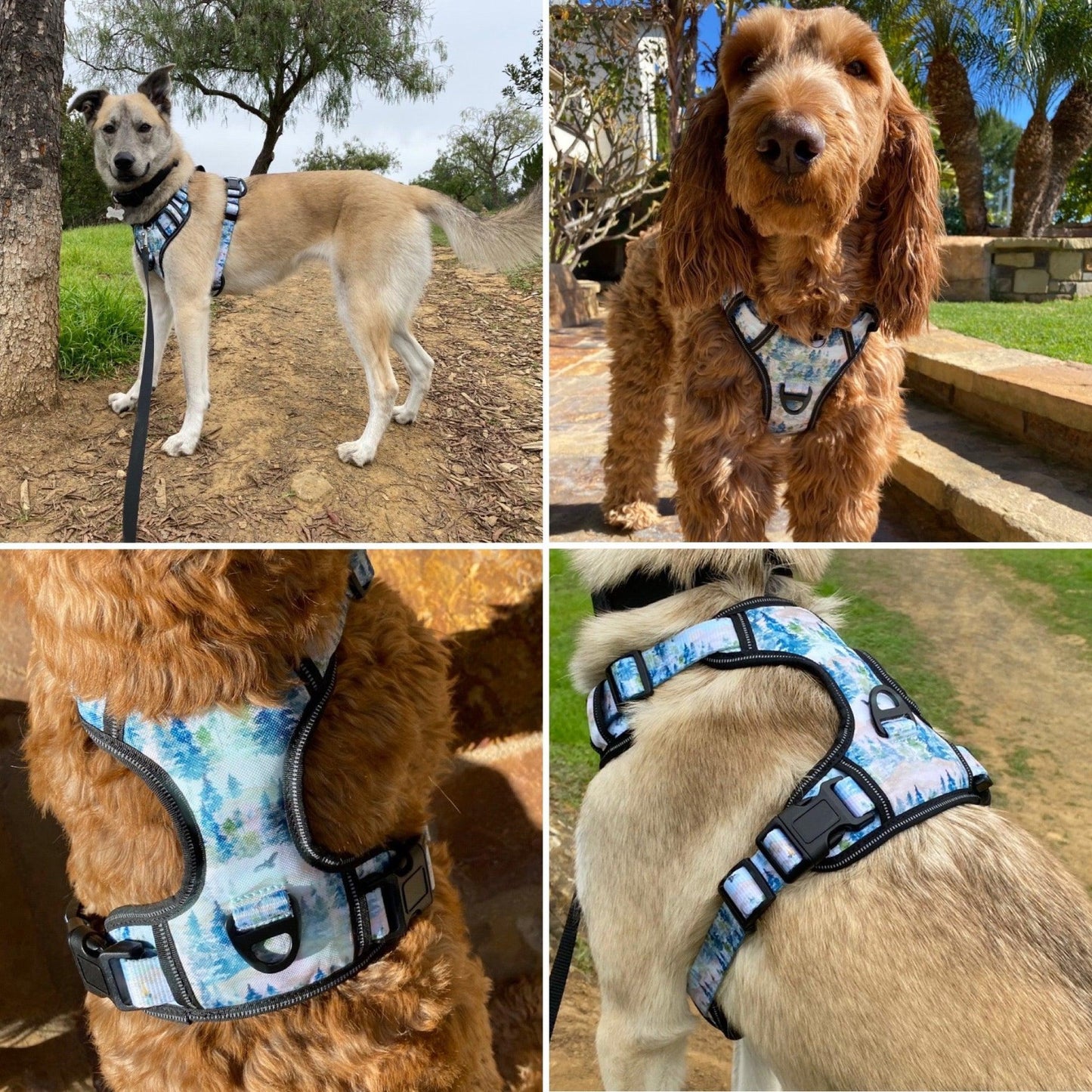 photos of a husky and goldendoodle wearing a camping print no escape dog harness from fearless pet