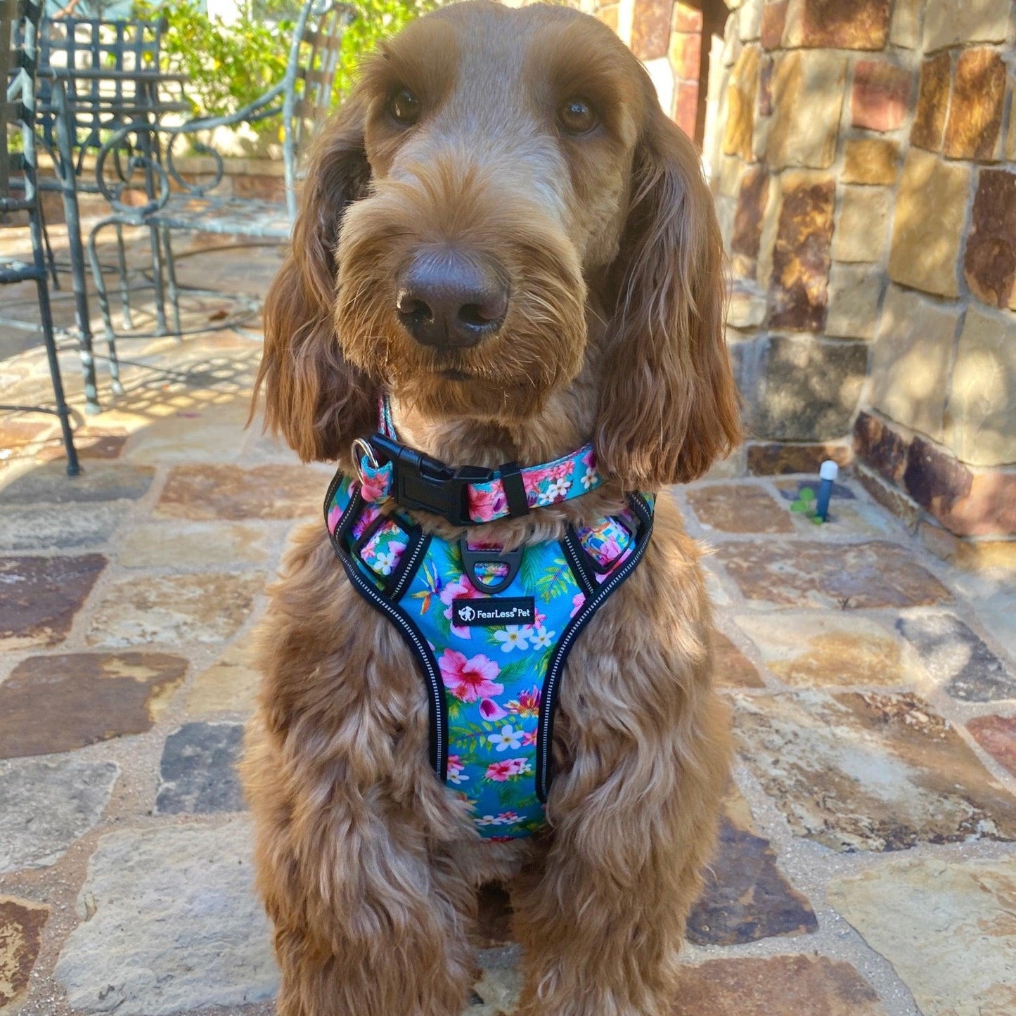 Heavy Duty Reflective Padded Dog Front and Back Clip Harness - Teal Hawaiian - FearLess Pet