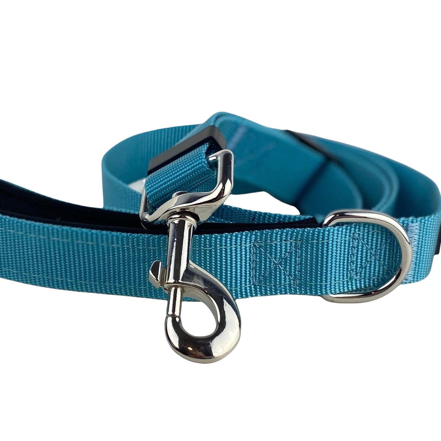 photo of a teal dog leash with a d-ring at the handle by fearless pet
