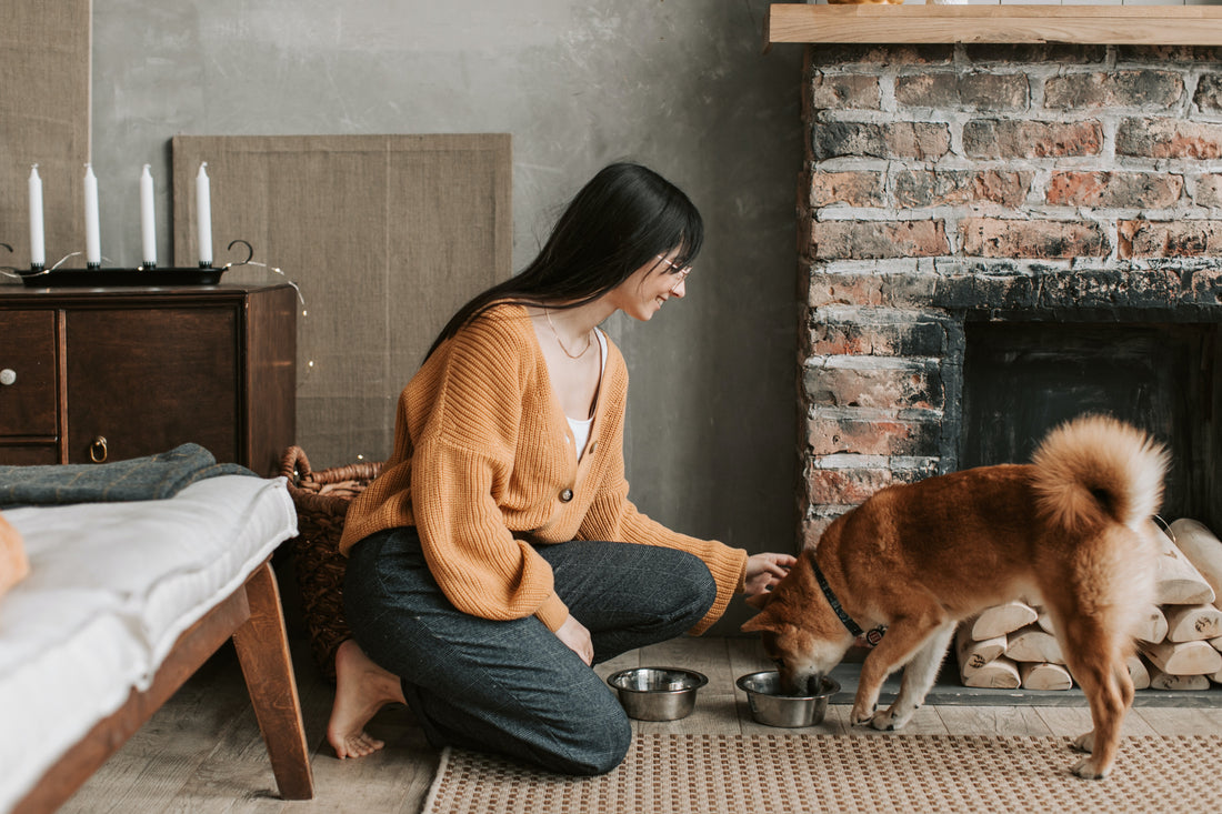 a photo of a woman petting a shiba inu while it eats out of a metal bowl in front of a fireplace.