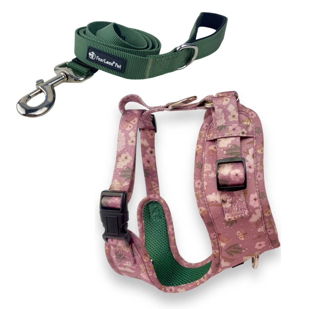 a product photo on a white background of a neoprene no pull dog harness in a bees and butterfly pattern and a solid green adjustable dog Leash from fearless pet