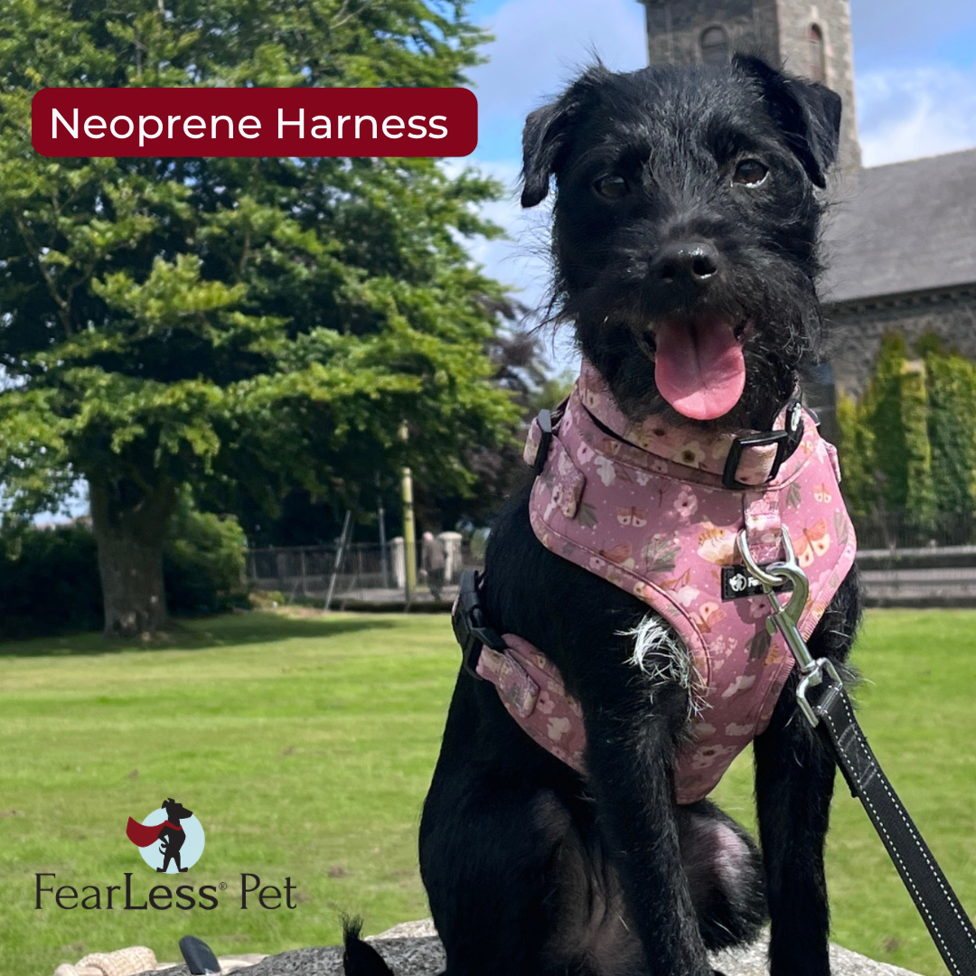 Load video: a video demonstrating how to use and adjust our no pull no escape neoprene harness by fearless pet