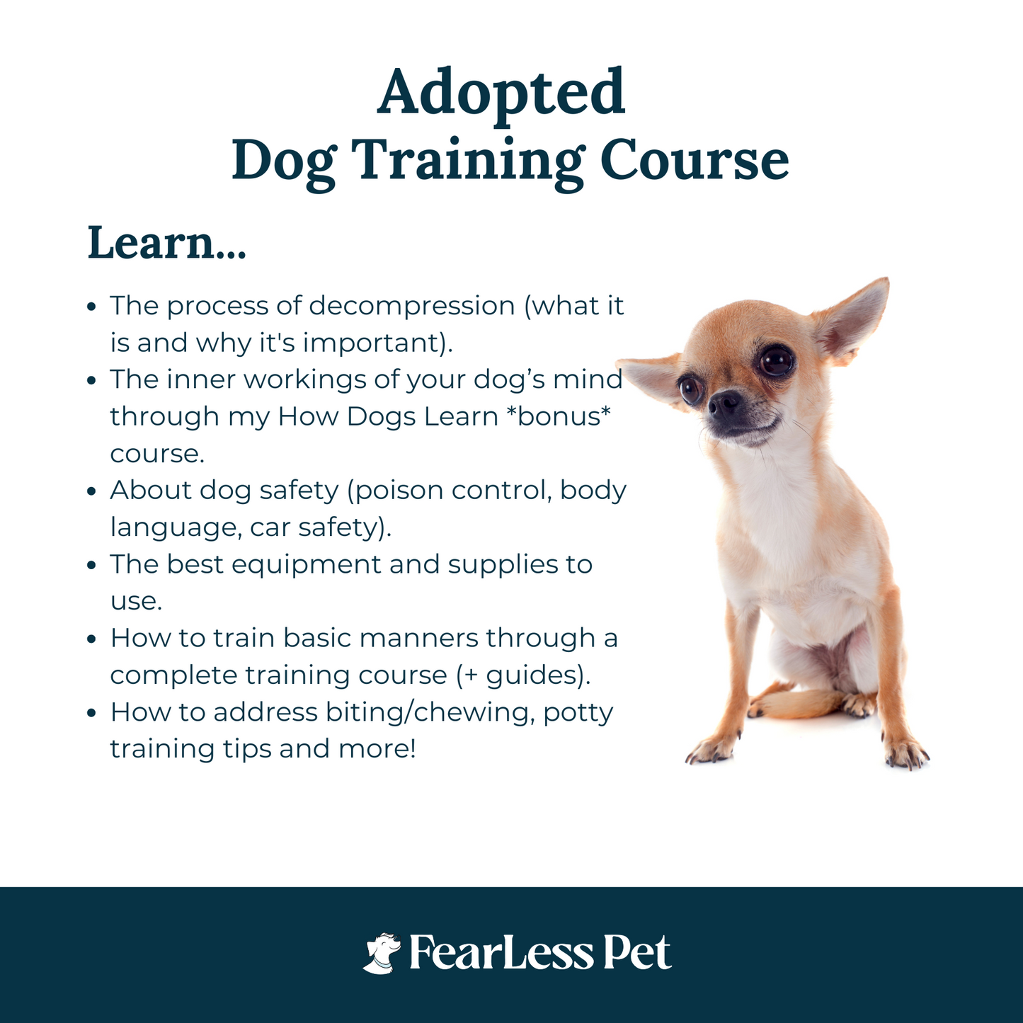 an image of a list of things for an adopted dog training class how to help a dog decompress and more items from fearless pet training