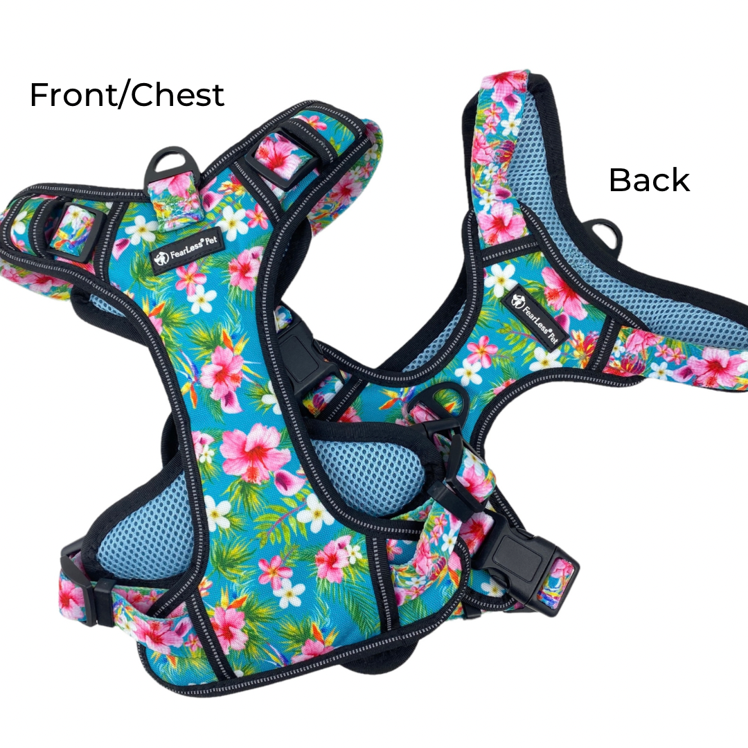 a photo of the front an back of a blue teal floral reflective harness from fearless pet