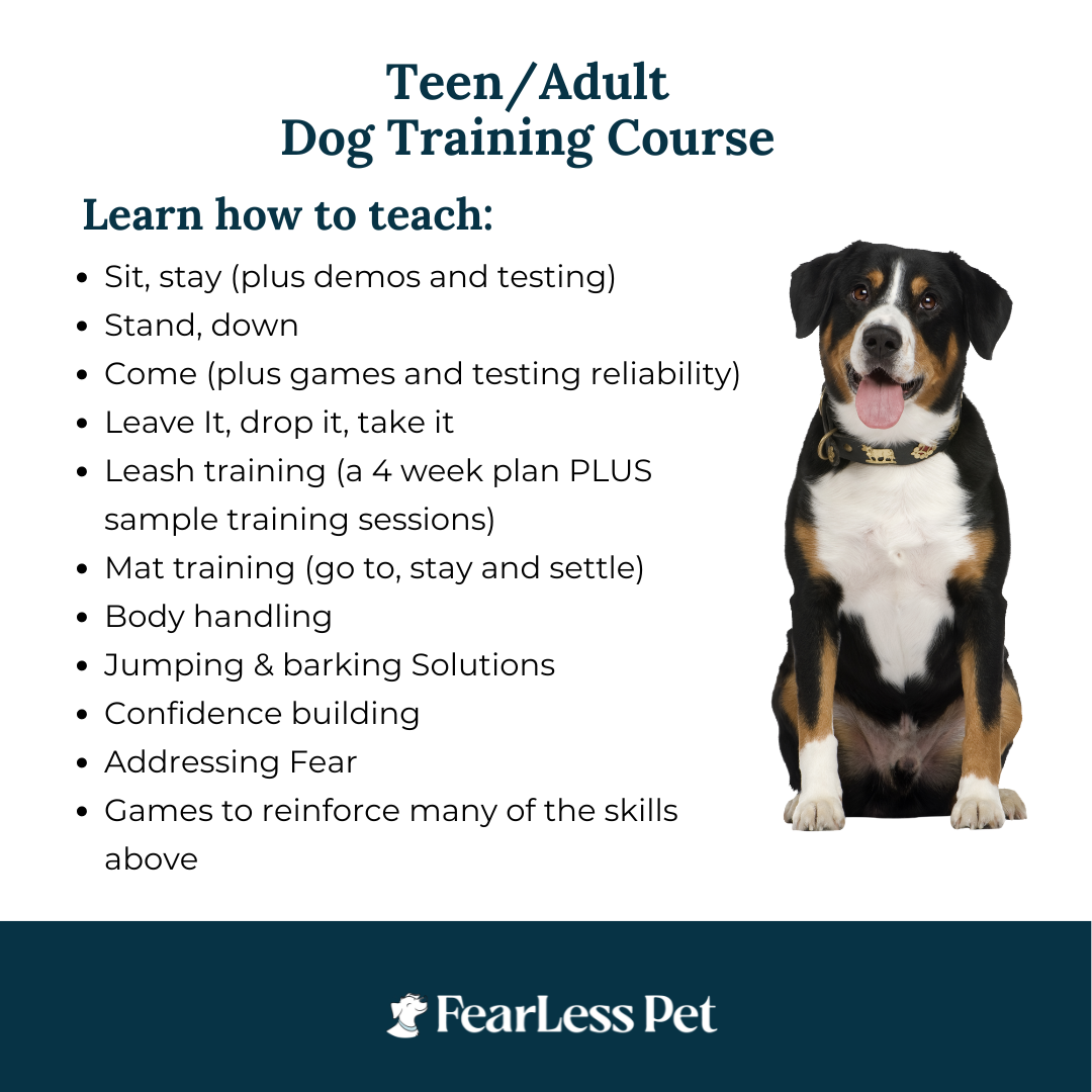 a photo of a course for teenager dog training from fearless pet
