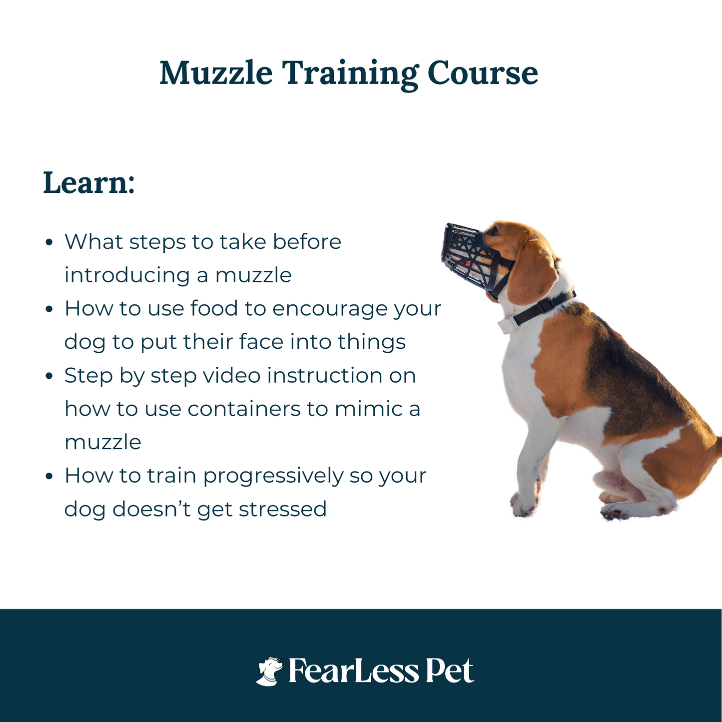 FREE - Muzzle Training