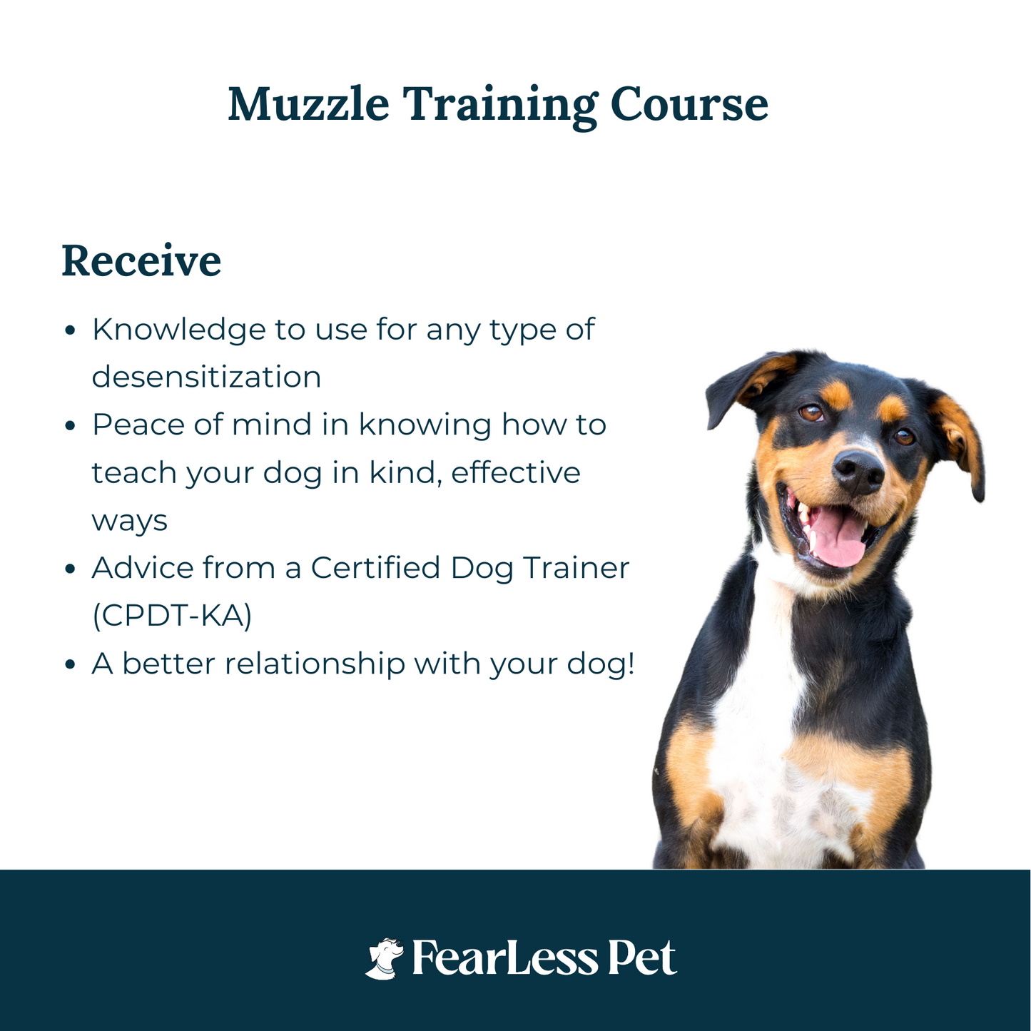 FREE - Muzzle Training