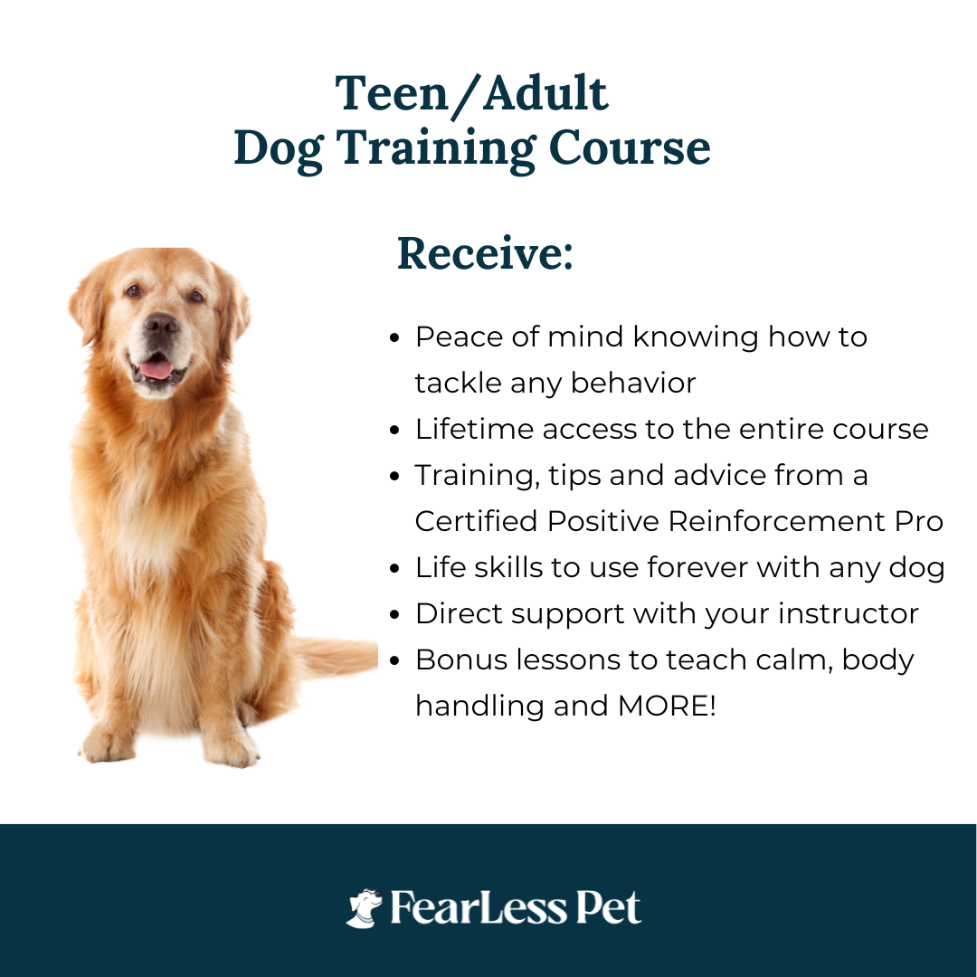 a photograph with a list for an adult dog training course from fearless pet