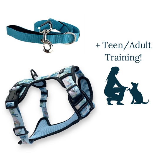 TEEN/ADULT TRAINING BUNDLE- Great Products PLUS Training!