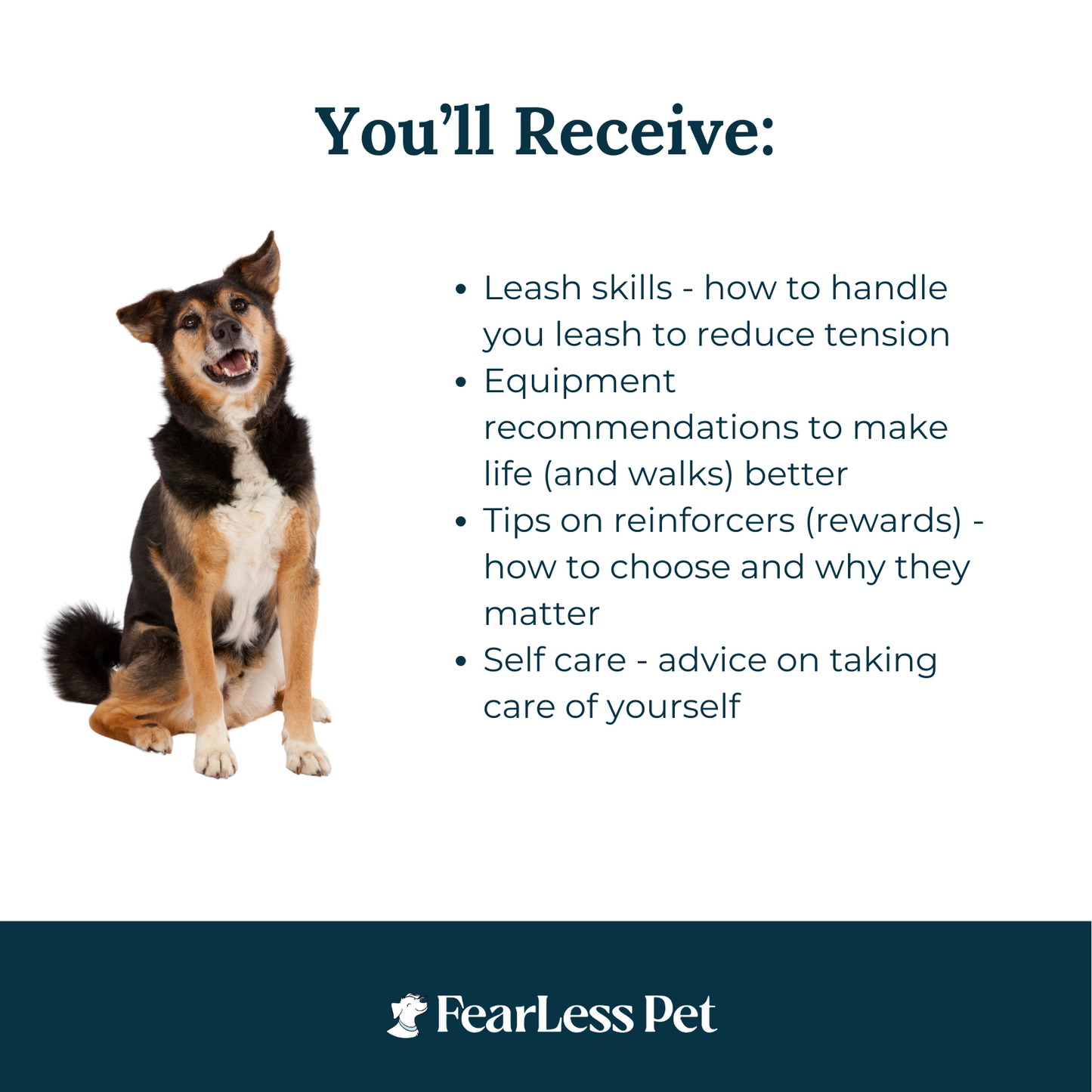 an image with a list for a free reactive dog training class online from fearless pet