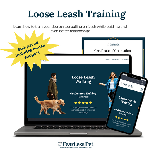 Loose Leash Training for Dogs