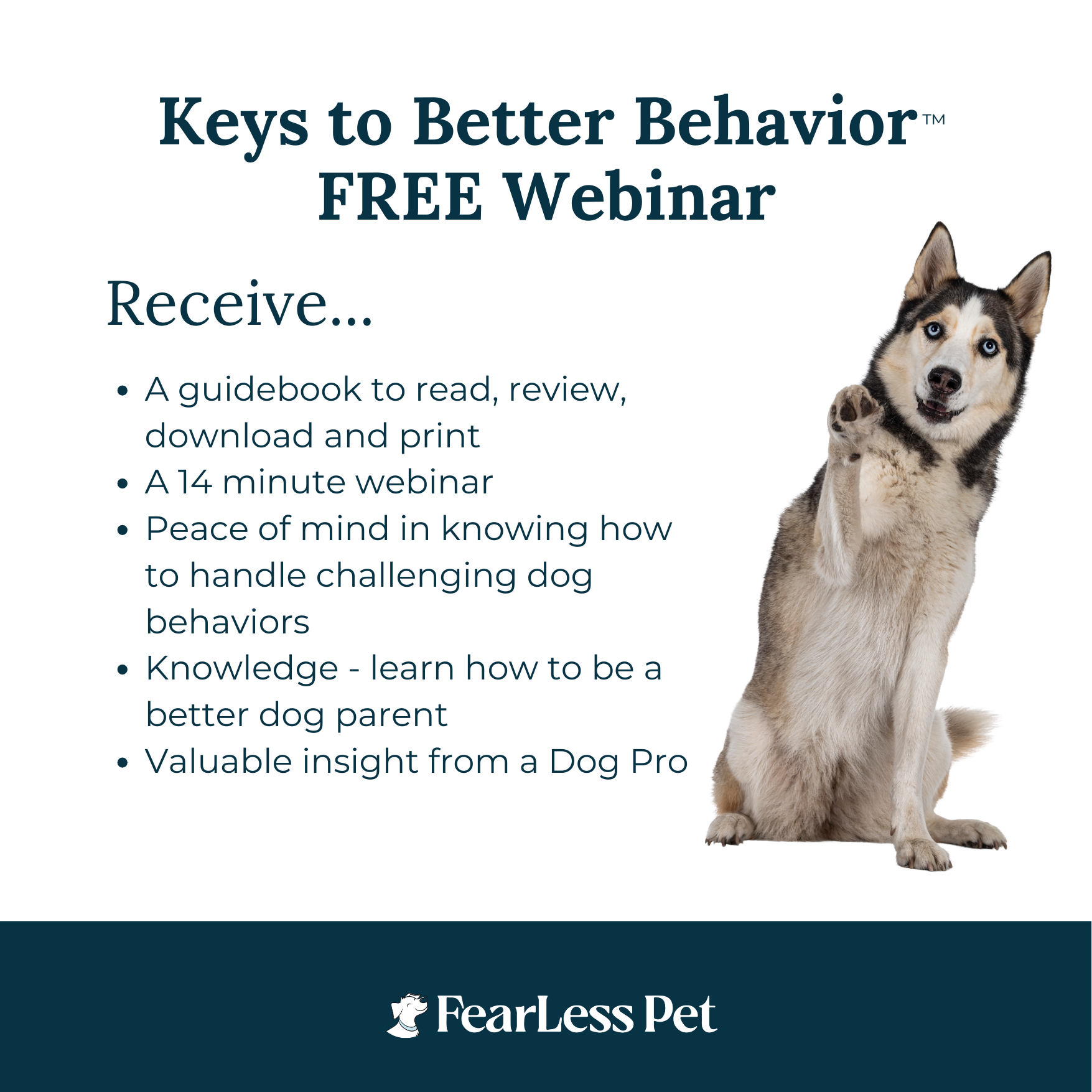 an image for a free dog training webinar from fearless pet