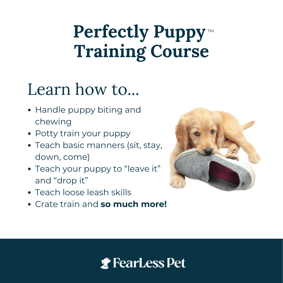 a list of things you will learn in an online puppy training course called perfectly puppy from fearless pet
