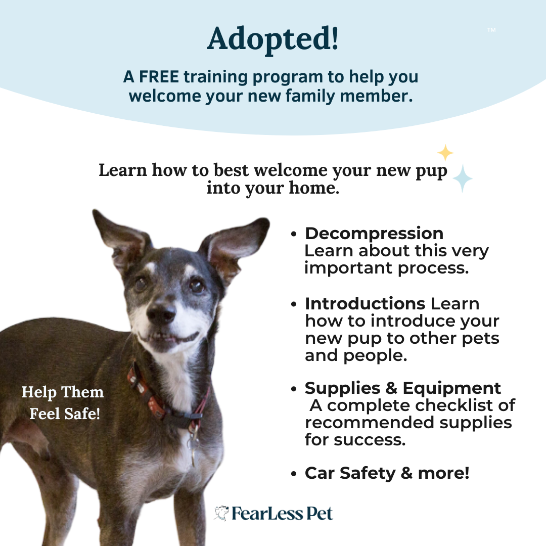 an infographic for a free dog training program for adopted dogs offered by fearless pet explaining decompression puppies and introductions