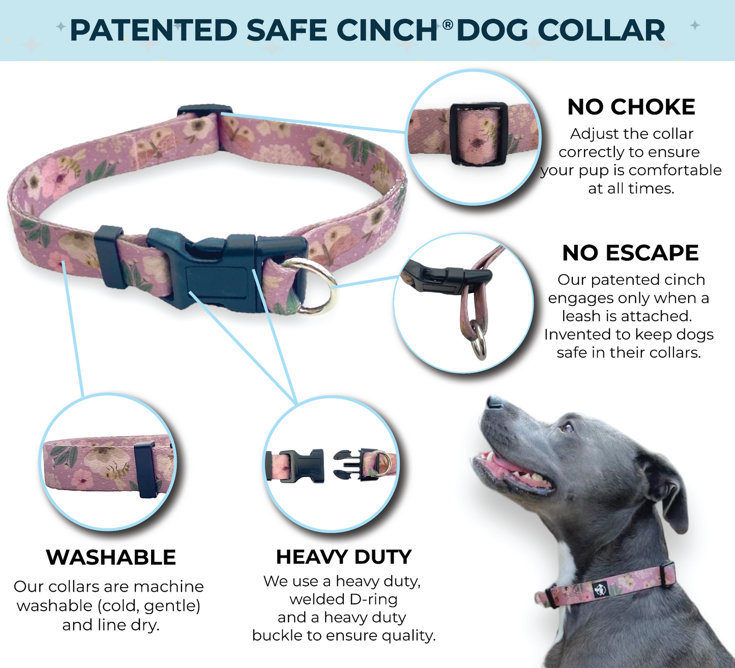 an infographic of a pink safe cinch collar from fearless pet the collar is escape proof