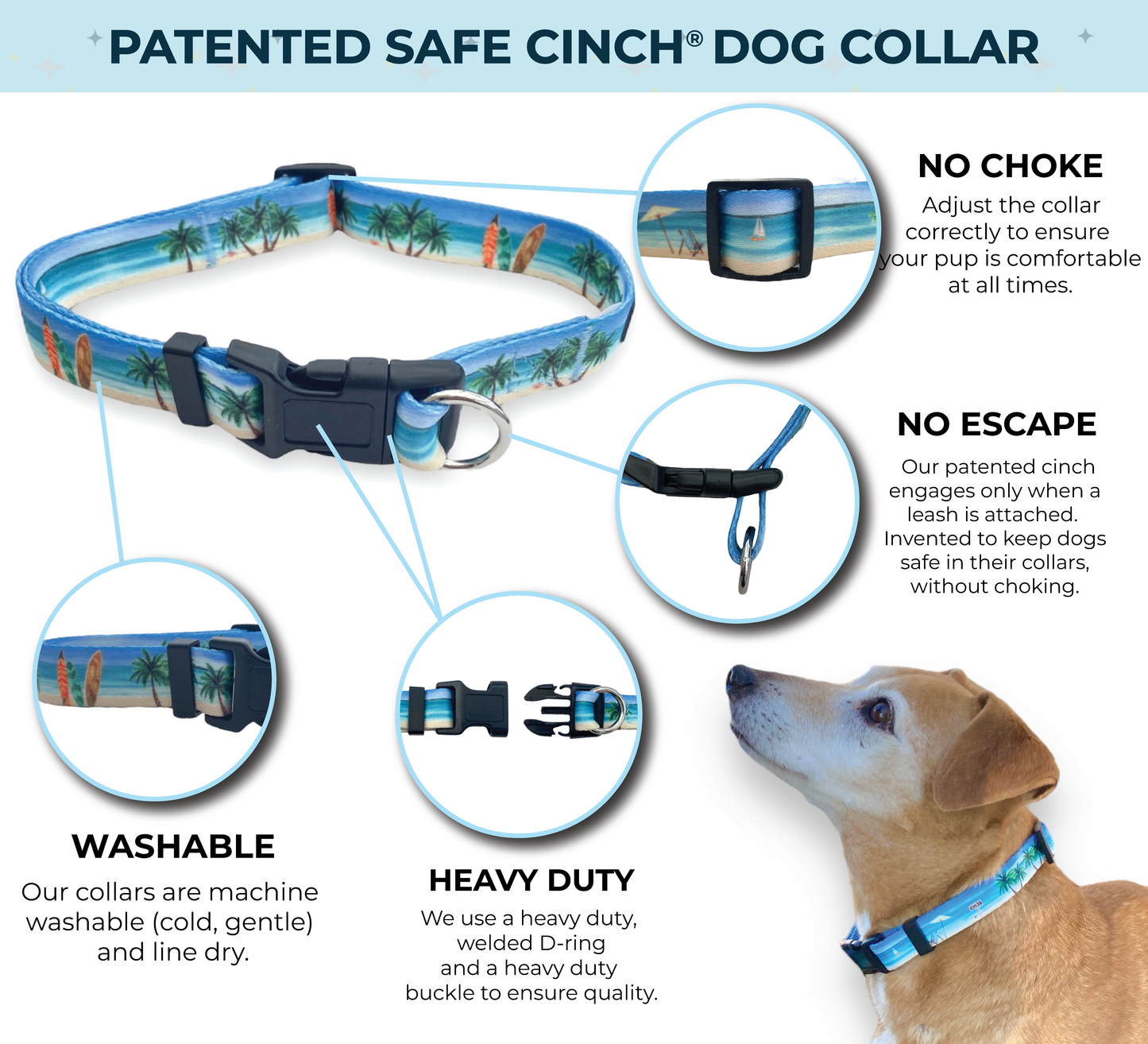 an infographic for a safe cinch collar from fearless pet in a beach print