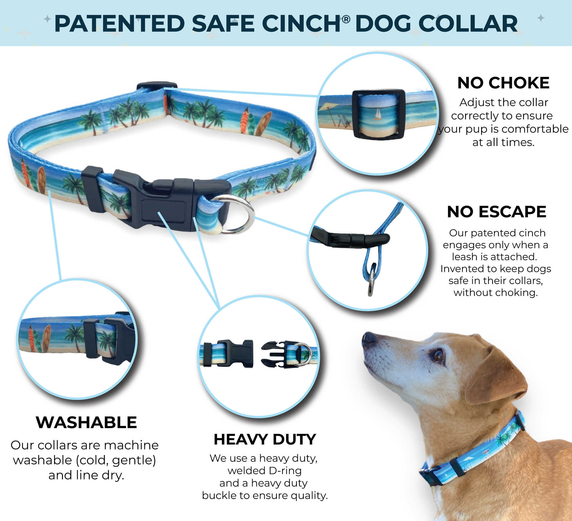 SAFE CINCH COLLAR BEACH